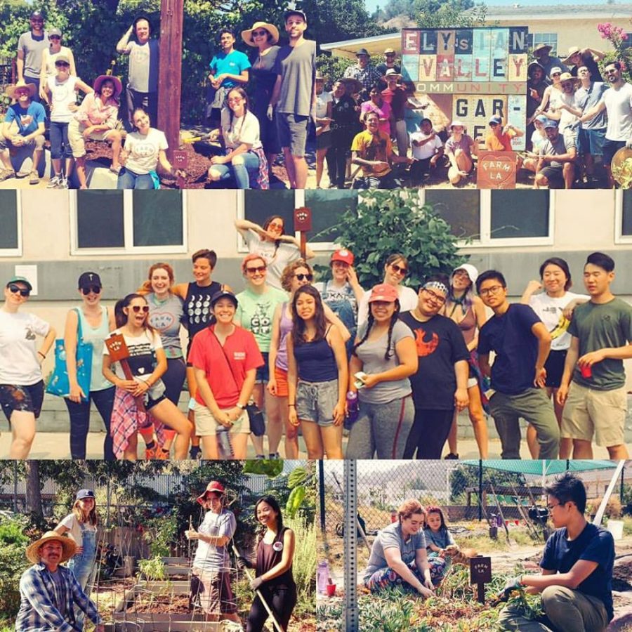 Farm LA Volunteers Farm LA Volunteers